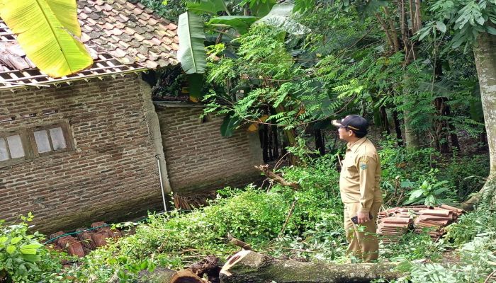 Rumah Bp. Amin Mustofa RT 011 RW 003 Dukuh Sumelang yang tertimpa pohon yang tumbang 01