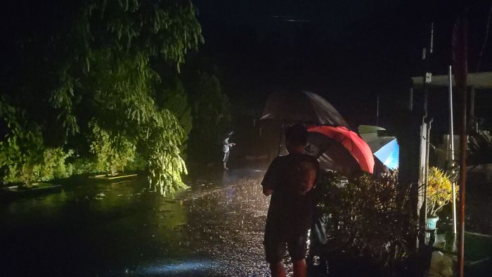 Hujan deras dan angin kencang yang mengakibatkan pohon tumbang yang menimpa jaringan listri di Desa Gemeksekti  01