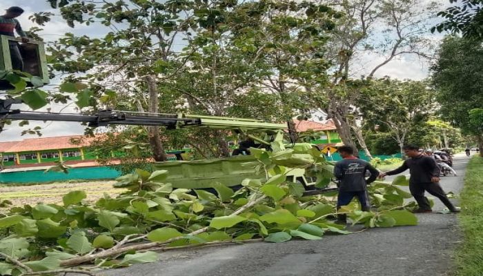 Penebangan pohon untuk akses keluar masuk armada untuk pengurugan pembuatan lapangan olah raga di komplek kantor Desa Gemeksekti 02