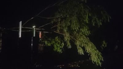 Hujan deras dan angin kencang yang mengakibatkan pohon tumbang yang menimpa jaringan listri di Desa Gemeksekti 