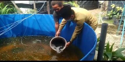 Dinas Kelautan Dan Perikanan bantuan benih ikan kepada kelompok Budi daya ikan di Desa Gemeksekti